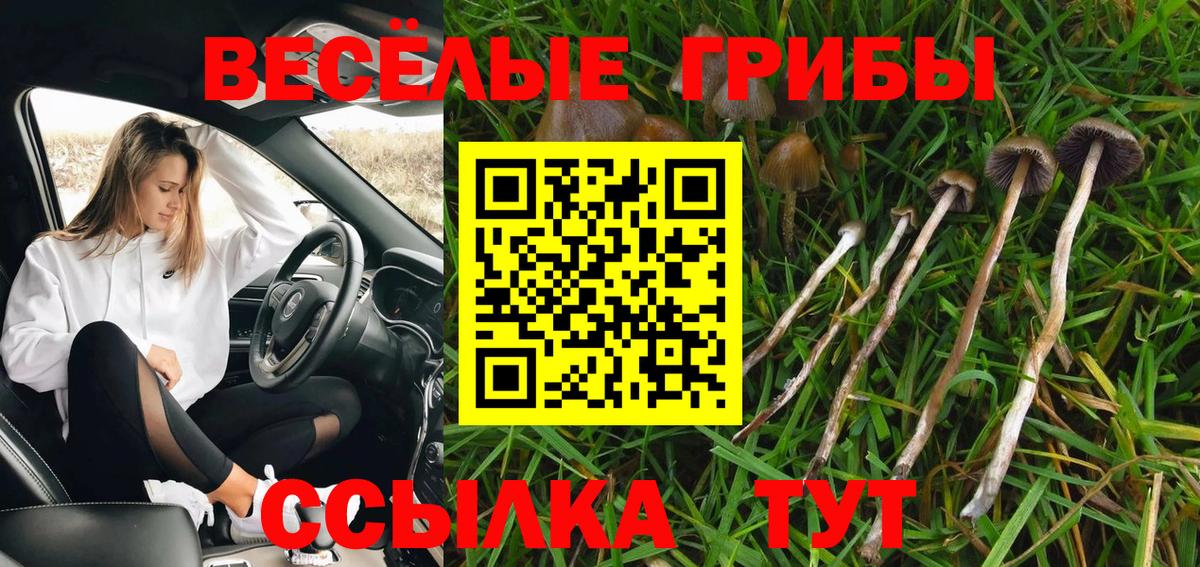 Галлюциногенные грибы Magic Shrooms Анапа