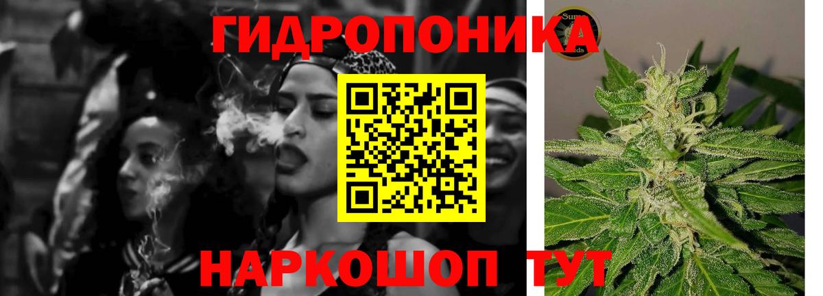 Бошки марихуана гибрид  Конопля план  Канабис VHQ  Анапа  Вход с VPN  МАРИХУАНА марихуана 